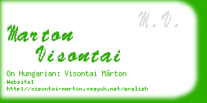 marton visontai business card